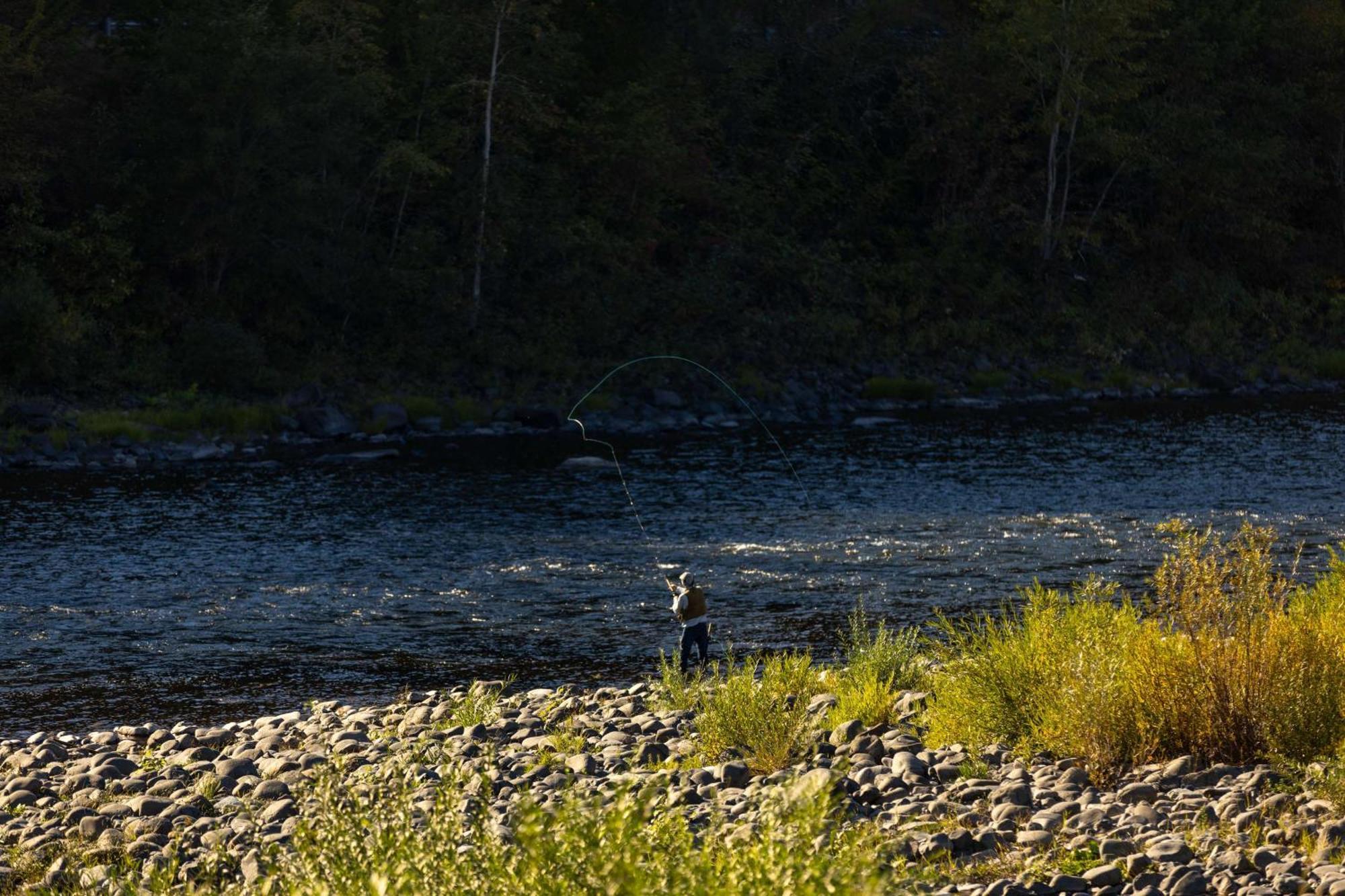 Best Western Lodge At River'S Edge Orofino Экстерьер фото